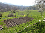 Azienda Agricola - B&B Monte Osero