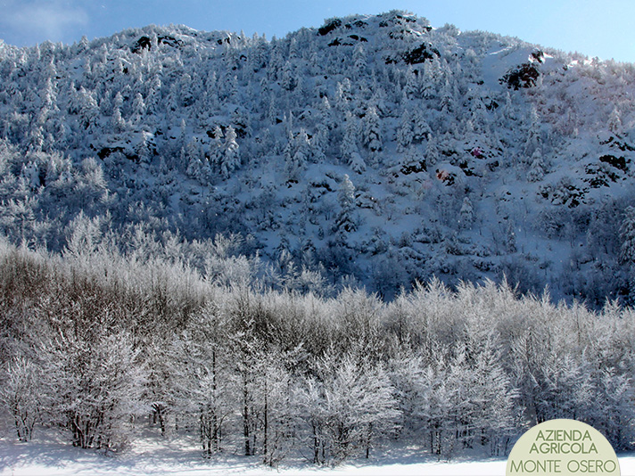 11-Lago-nero-inverno.jpg